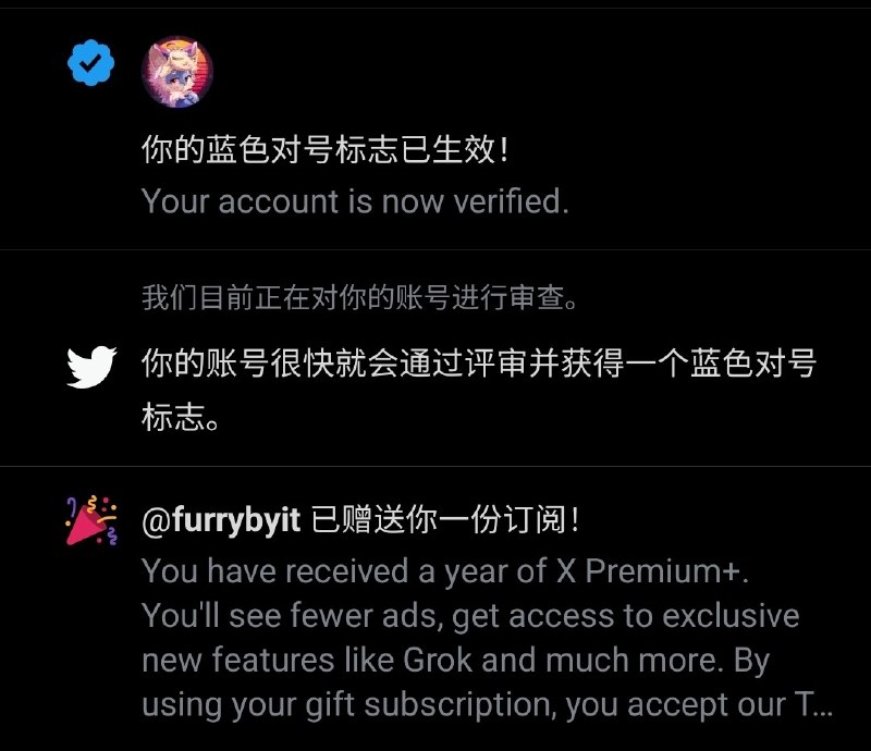 你和我被送了一年推特的Premium+？大概率几天后会收回，搞不好封号
